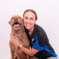 Synertec Ltd Employee Louise Lund's profile photo