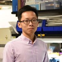 Monolith Management Employee Zhifei Ge's profile photo