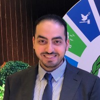 Mohamed Gamal Email