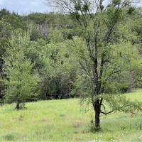 Cavco Industries, Inc. Employee David Dorough's profile photo