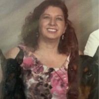 Oakland Veterinary Referral Services Employee Judi Fleischaker's profile photo