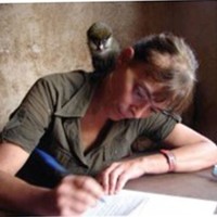 Volunteer Employee Carmen Vidal's profile photo