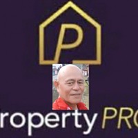 Property Pro Employee Albert Suawa's profile photo