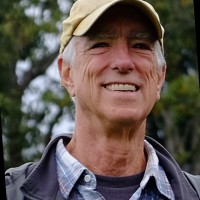 Hal Hamilton