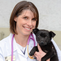 Jennifer McFarling Email & Phone Number