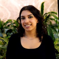pointA Employee Fatima Mahmud's profile photo