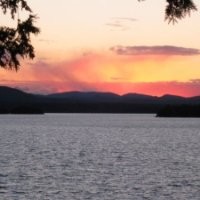 Jessica Lukas Email & Phone Number