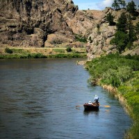 Montana Association of Counties Employee David Payne's profile photo