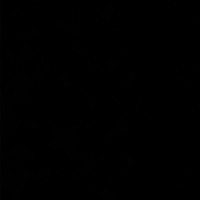 Paladin Commercial Employee Molly Miles's profile photo