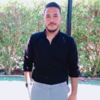 Hazem Hussein Email