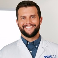 VCA California Veterinary Specialists Employee Marc A. Ledesma's profile photo