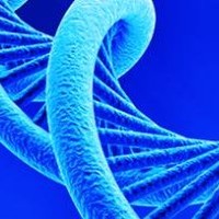 McLab Email & Phone Number | MCLAB.LLC Biotechnology Contact Information
