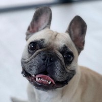 CakeCodes LLC Employee Oscar's profile photo