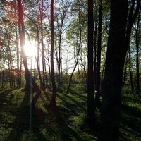 WAUSAU Financial Systems, a Deluxe Company Employee Forest Passineau's profile photo