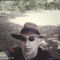 Bernhard Wolf Employee Bernhard Wolf's profile photo