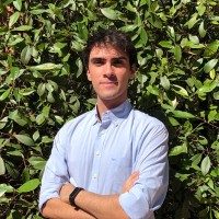 Hovering Solutions Employee David Thomas Ruiz's profile photo