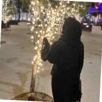Fatima Ayreen Email