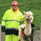 Dallas Glass Employee Michael McCollum's profile photo