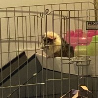 Microsoft Employee Tom Bartlett's profile photo