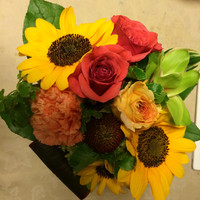 Saori Ikeda Email & Phone Number