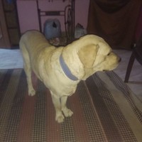 Six Employee Vikram Varma's profile photo