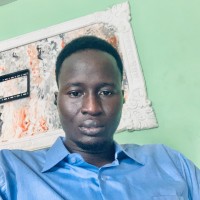 SYNTHEXIS Employee Baoude Bole's profile photo