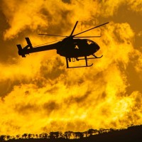 MD Helicopters, Inc. Employee Robert Rappoport's profile photo