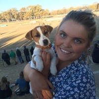 Boyce Chartered Accountants Employee Kate Cleaver's profile photo