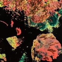 DOLPHIN PACK Employee Anna Zavarise's profile photo