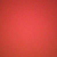 Neset Consulting Services Employee Norel Benouadah's profile photo
