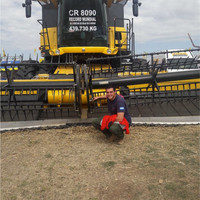 BioGrow Employee Federico Costanzo's profile photo