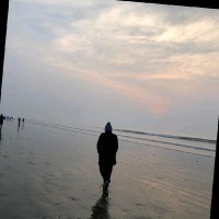 Saksham Impex Pvt Ltd Employee Jagriti Gupta's profile photo