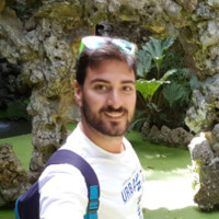 Simone Cammarata Email