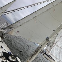 R. M. Email & Phone Number