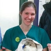 University of Wisconsin-Madison Employee Erin Lemley's profile photo
