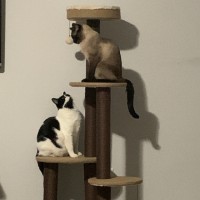 Georgian BMW Employee Maria Anghel's profile photo