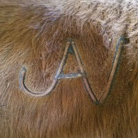 Jack Valentine Email