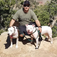Pinnacle Consulting, Inc Employee Preston Waters's profile photo