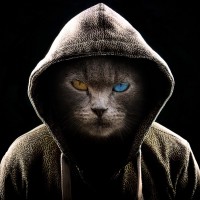 Seedify Employee Russ Galicia's profile photo