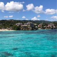 Catholic Health Services Employee Christine Smith's profile photo