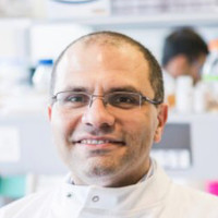 Walid Khaled Email & Phone Number