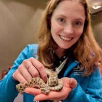 Town of Cary Employee Ally Parker's profile photo