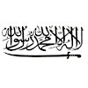 Saifullah Babar Email