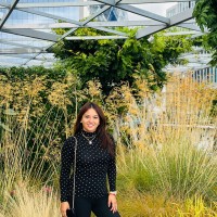 the Environment Centre (tEC) Employee Cristina Martínez Salazar's profile photo