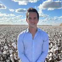 Souza Lima Cotton Employee Bernardo Lima's profile photo