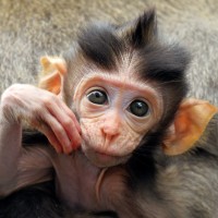 MonkeyLearn Employee Delights Fishing's profile photo