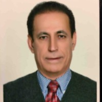 Zabi Bagheri Email & Phone Number