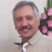 Pentax Industries Employee Saeid Taheri's profile photo