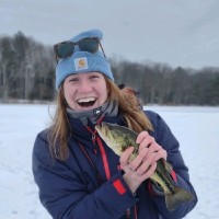 Sara Sheehan