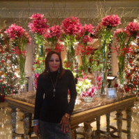 Mari Hamilton Email & Phone Number